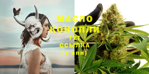 молекула духа Козельск